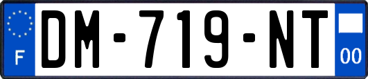 DM-719-NT