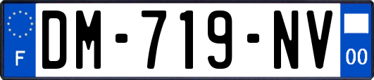 DM-719-NV