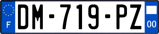 DM-719-PZ