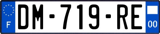 DM-719-RE