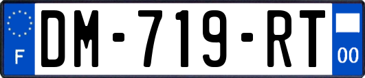 DM-719-RT