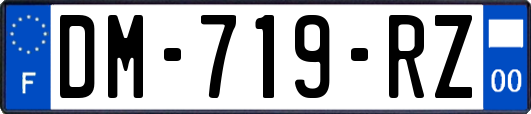 DM-719-RZ