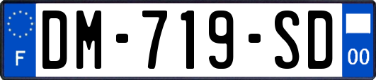 DM-719-SD
