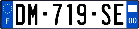 DM-719-SE