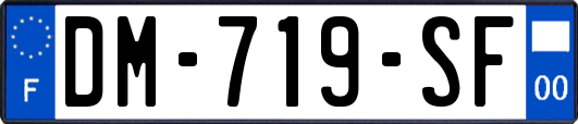 DM-719-SF
