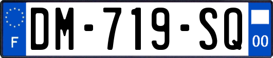 DM-719-SQ