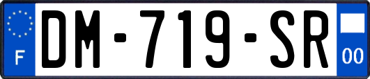 DM-719-SR
