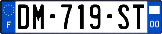 DM-719-ST