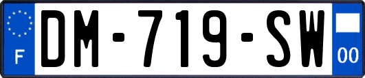 DM-719-SW