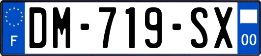 DM-719-SX