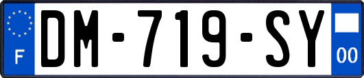 DM-719-SY