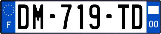 DM-719-TD
