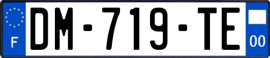 DM-719-TE