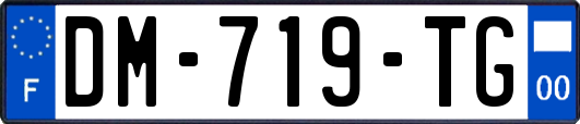 DM-719-TG