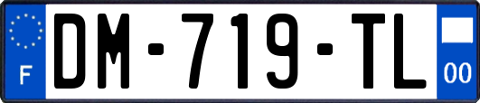 DM-719-TL