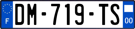 DM-719-TS