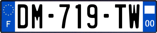 DM-719-TW