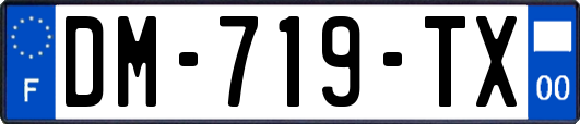 DM-719-TX