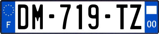 DM-719-TZ