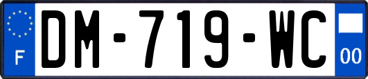 DM-719-WC