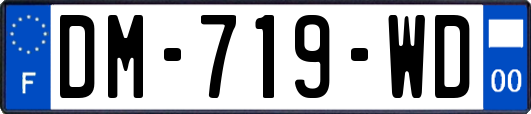 DM-719-WD