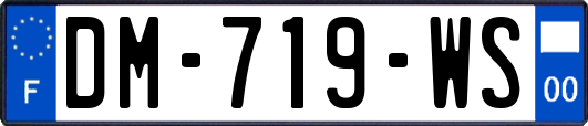 DM-719-WS