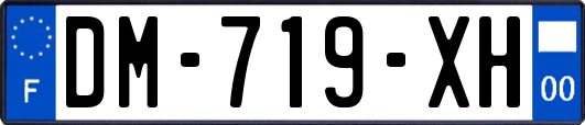 DM-719-XH