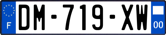 DM-719-XW