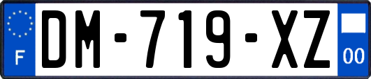 DM-719-XZ