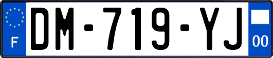 DM-719-YJ