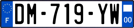 DM-719-YW