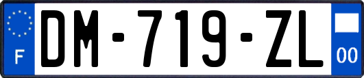 DM-719-ZL