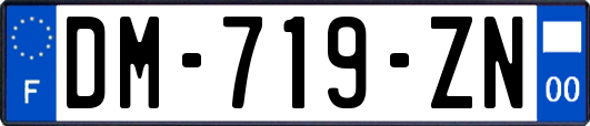 DM-719-ZN