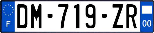 DM-719-ZR