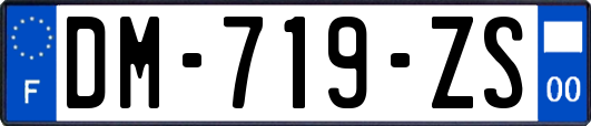 DM-719-ZS