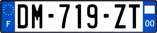 DM-719-ZT