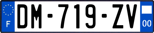 DM-719-ZV