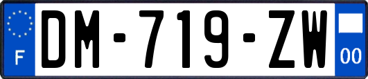 DM-719-ZW