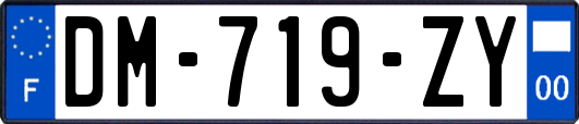 DM-719-ZY