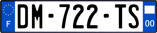DM-722-TS