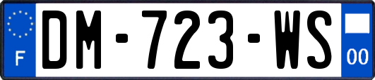 DM-723-WS