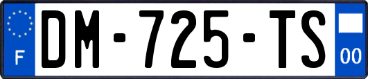 DM-725-TS