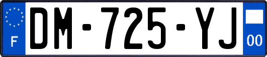 DM-725-YJ