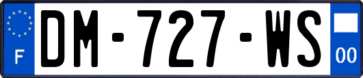 DM-727-WS