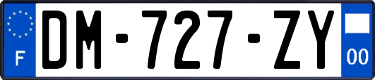 DM-727-ZY