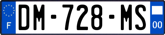 DM-728-MS