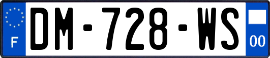 DM-728-WS