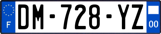 DM-728-YZ