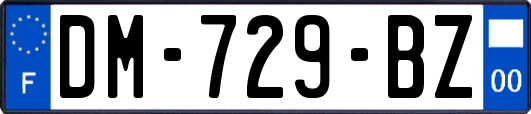 DM-729-BZ