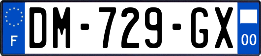 DM-729-GX